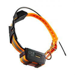 GPS-ошейник ARTELV COLLAR Only 2W