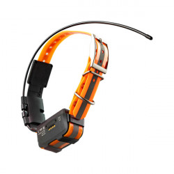 GPS-ошейник ARTELV COLLAR Only 2W