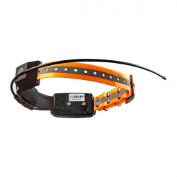 GPS-ошейник ARTELV COLLAR Only 2W