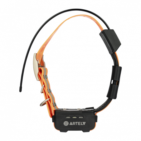 GPS-сет ARTELV TRACKER 2W