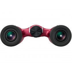 Бинокль Nikon Aculon T02 8x21 Red