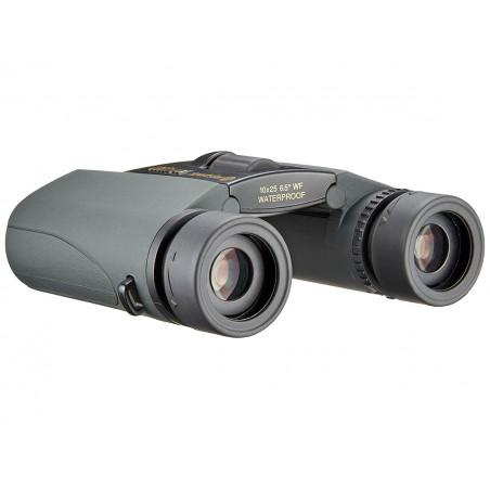 Бинокль Nikon Sportstar EX 10x25 Black