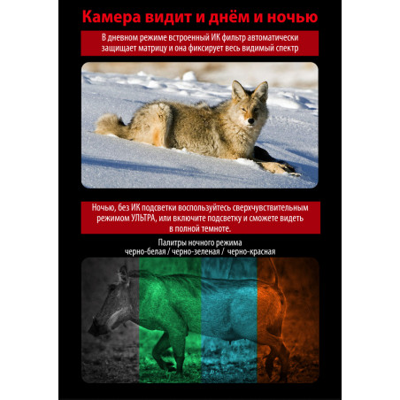 Цифровой бинокль день + ночь Sturman 6-36x50 B PRO