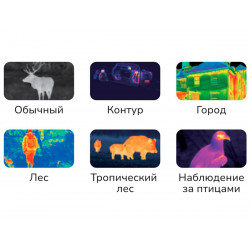 Тепловизионный монокуляр Hunter HR215 256х192, AI 384x288, D15, WiFi