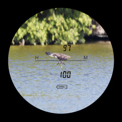 Дальномер DISCOVERY D800(camo)