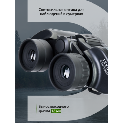 Бинокль Levenhuk Discovery Flint 12x50