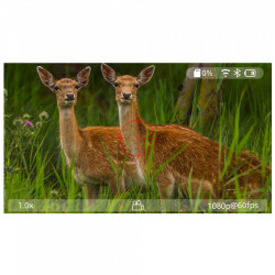 Прицел цифровой Veber DigitalHunt R44X6-48 LRF ночной (31885)