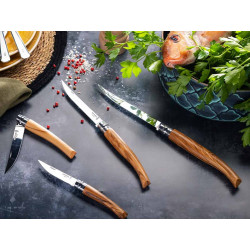 Нож складной Opinel Olive Effile 08 New, филейный, нержавеющая сталь, олива